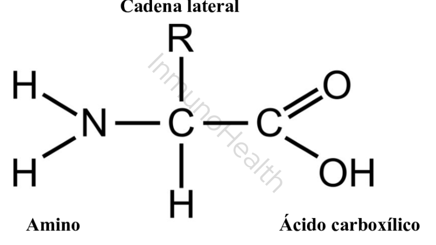 cadena lateral